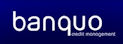 Banquo Credit Management Logo